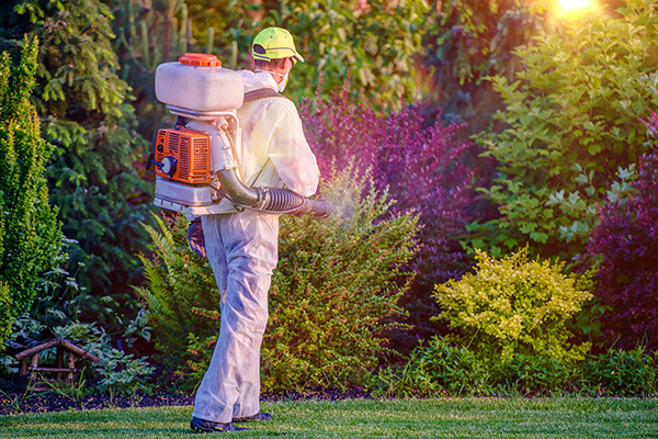 Exterminator