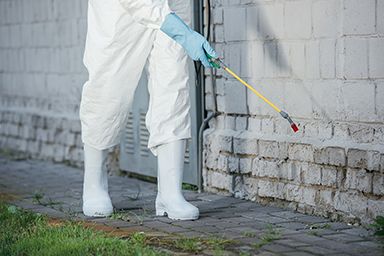 Exterior Extermination