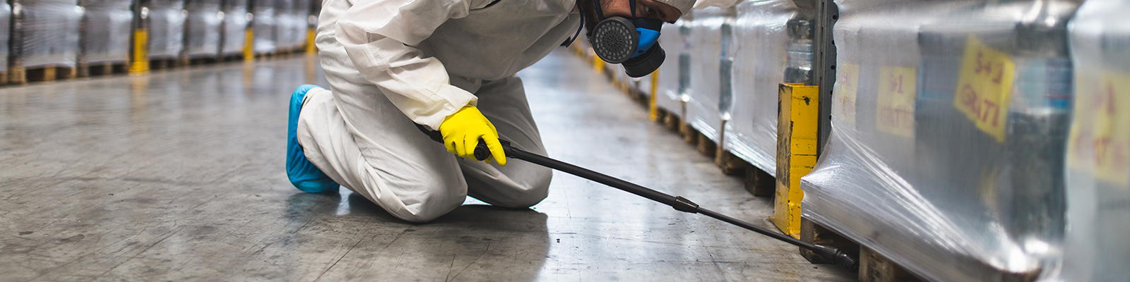 Commercial Extermination