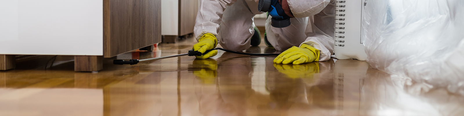 Kitchen Exterminator