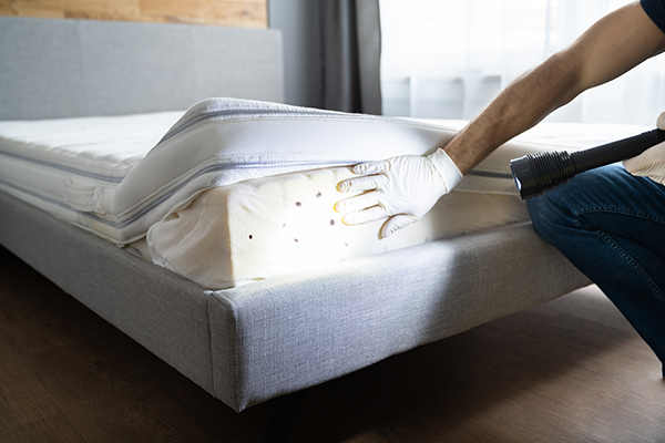 Mattress Check